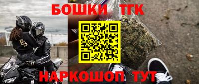индика Ставрополь