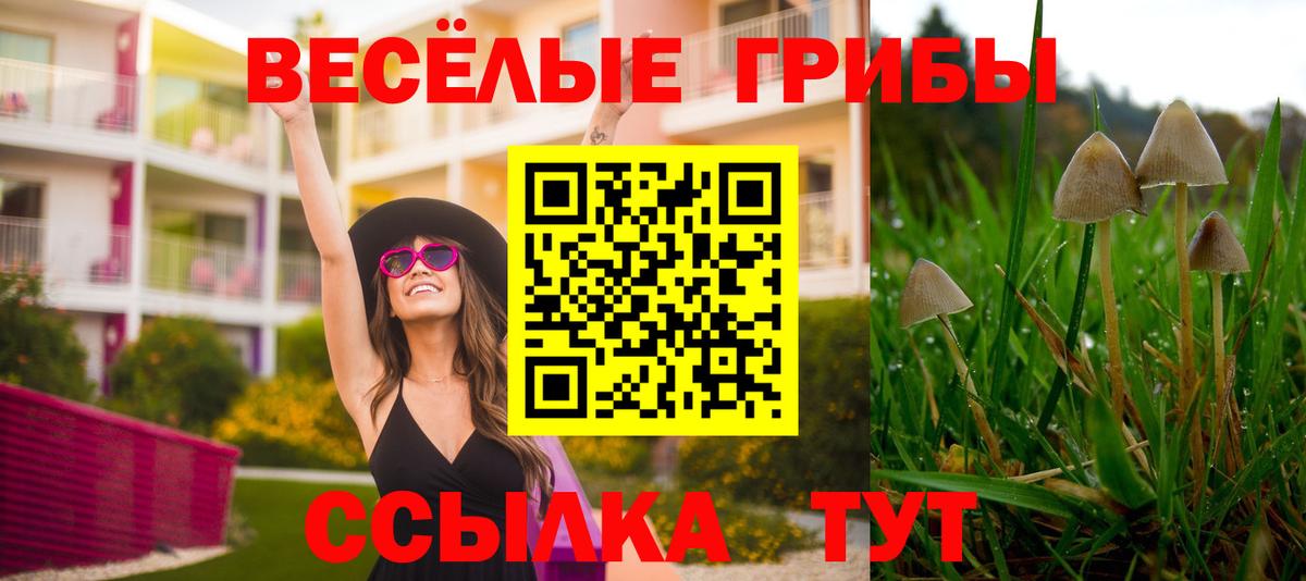 Псилоцибиновые грибы Magic Shrooms  Вход с VPN  Братск 