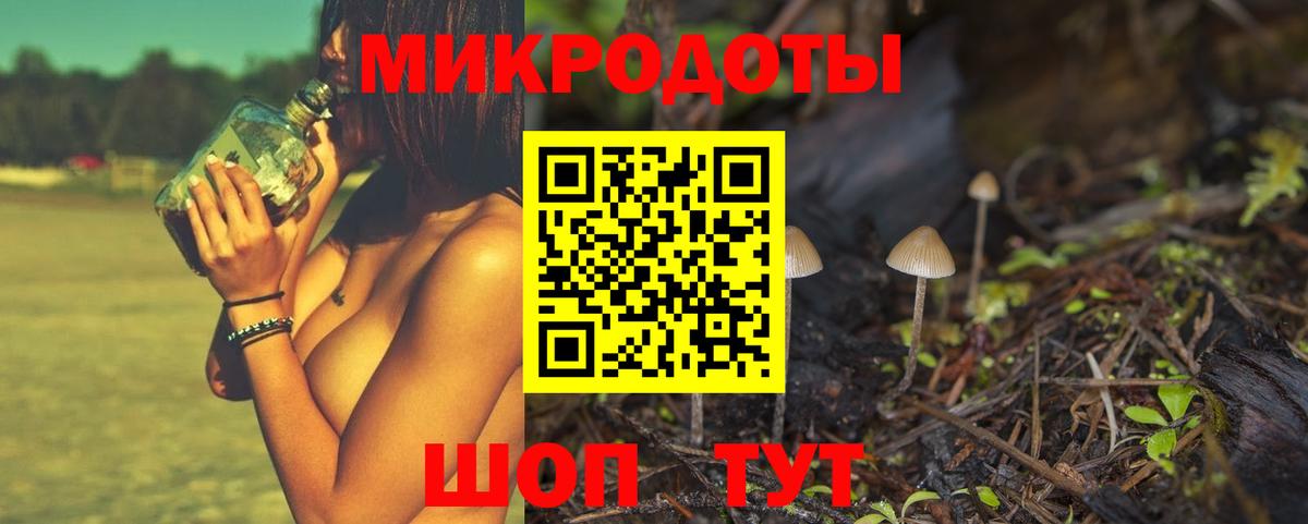 Псилоцибиновые грибы GOLDEN TEACHER Братск